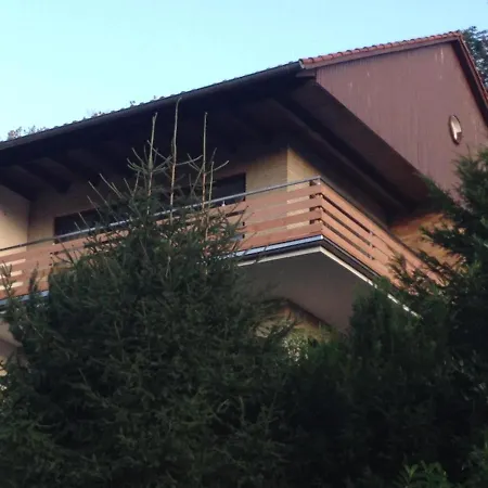 Apartament Bergoase Bad Lauterberg Zewnętrze zdjęcie